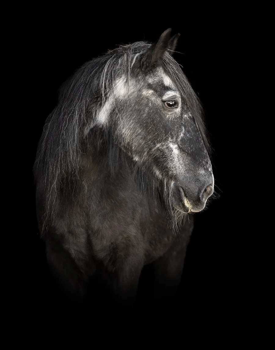 Blacky