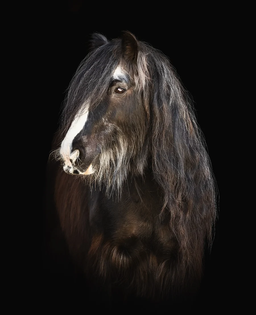 Pete